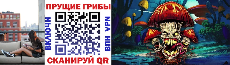 что такое наркотик  Красный Кут  Галлюциногенные грибы Cubensis 