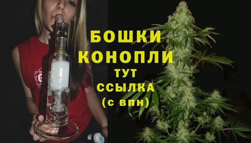 дарк нет наркотические препараты  Красный Кут  Марихуана Amnesia 